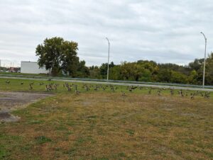 Mésentente entre un camp de jour et le CSSVT