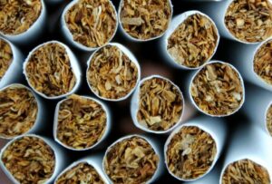 VIDÉO – NousTV présente des nouveautés et des retours incontournables