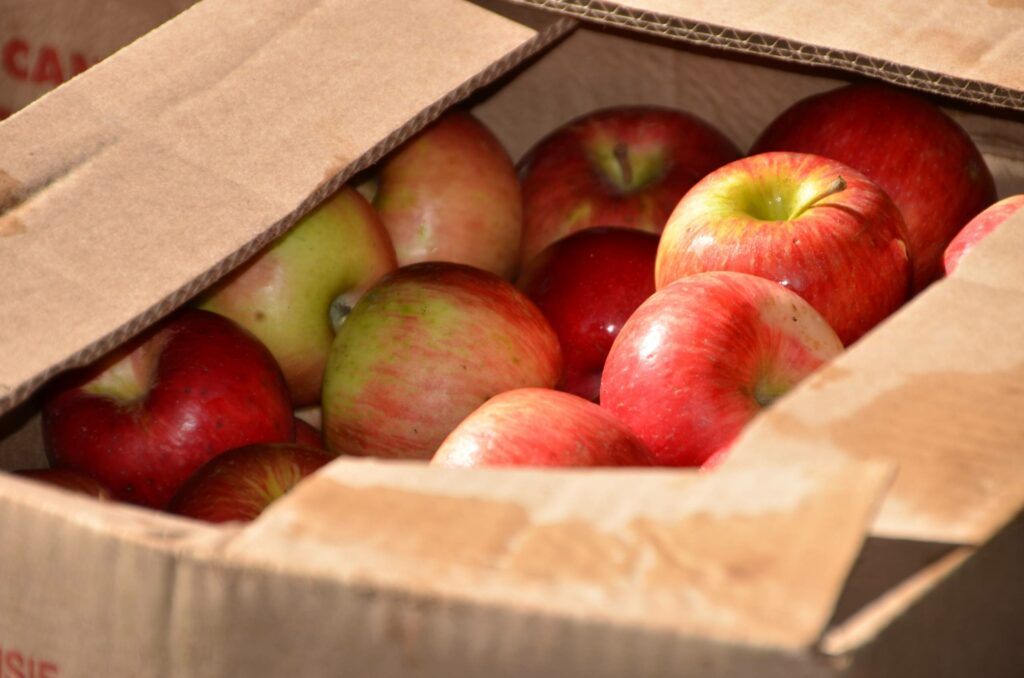 VIDÉO – Michael Tremblay reste en bonne position en Hydro 350