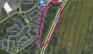 Grand Prix de Montréal : une étudiante a conçu les trophées des gagnants