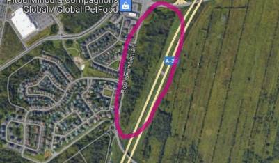 Grand Prix de Montréal : une étudiante a conçu les trophées des gagnants