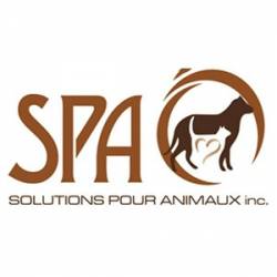 École Saint-Urbain : investissement de 100 000 $ pour réaménager la cour