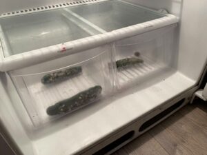 Près de 12,3 M $ pour la construction d&rsquo;une usine de biométhanisation à Salaberry-de-Valleyfield