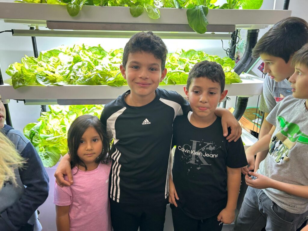 La websérie des Enfants Dumdell maintenant en ligne