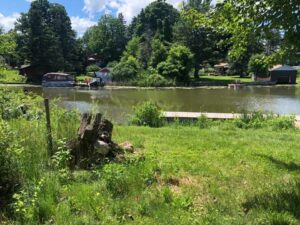 COBAVER – Restauration des bandes riveraines de la rivière Beaudette