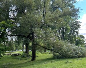 Du soutien aux sinistrés