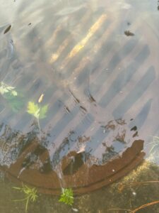 Les Coteaux pourrait disposer d’un plan directeur des réseaux d’ici la fin de l’année