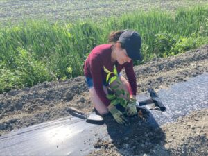 Des terres agricoles seront aménagées afin de préserver l’agriculture
