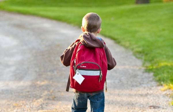 Grève dans les écoles : les plans B s’organisent