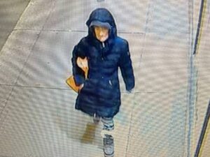 Deux ans moins un jour pour une incendiaire récidiviste