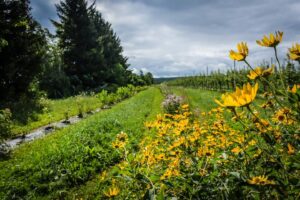 Des pomiculteurs qui favorisent la biodiversité