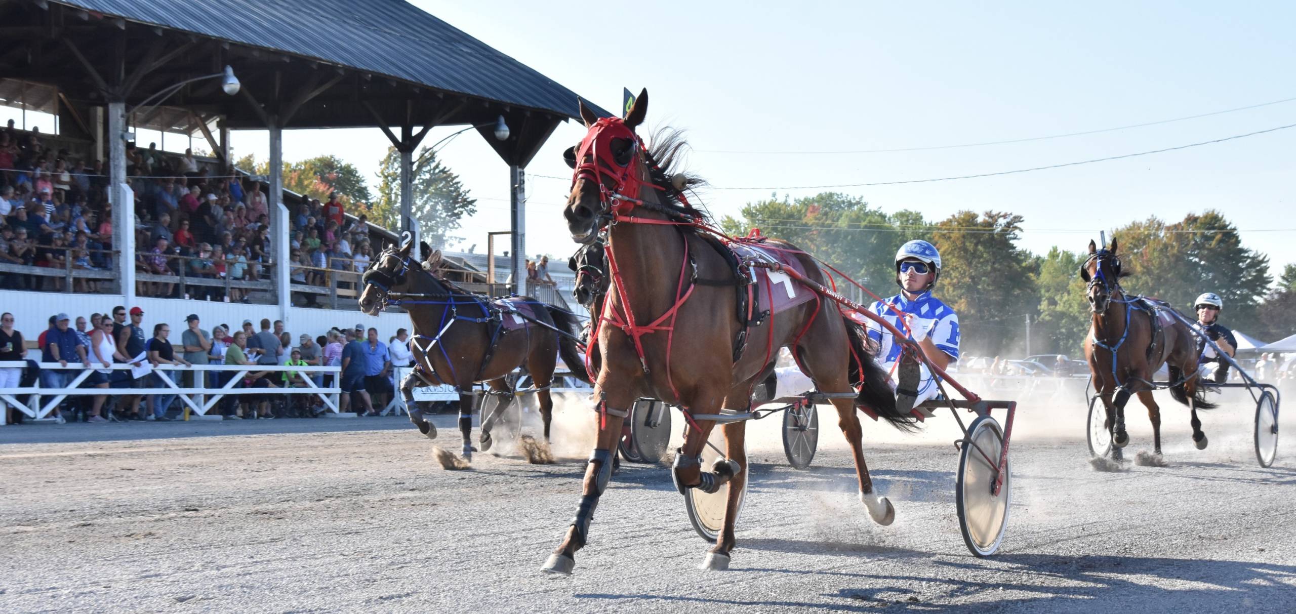 Les courses de chevaux sont lancées au Festival d’Automne LBA