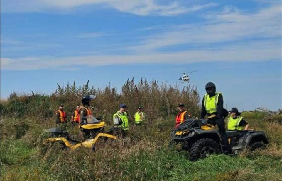 Razzia dans les cultures de cannabis illégales