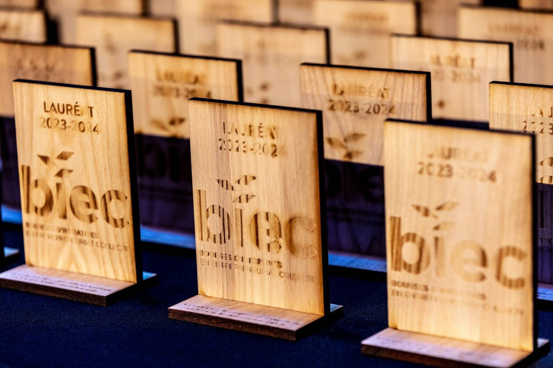 Huit projets du Suroît en liste pour les bourses d&rsquo;économie sociale