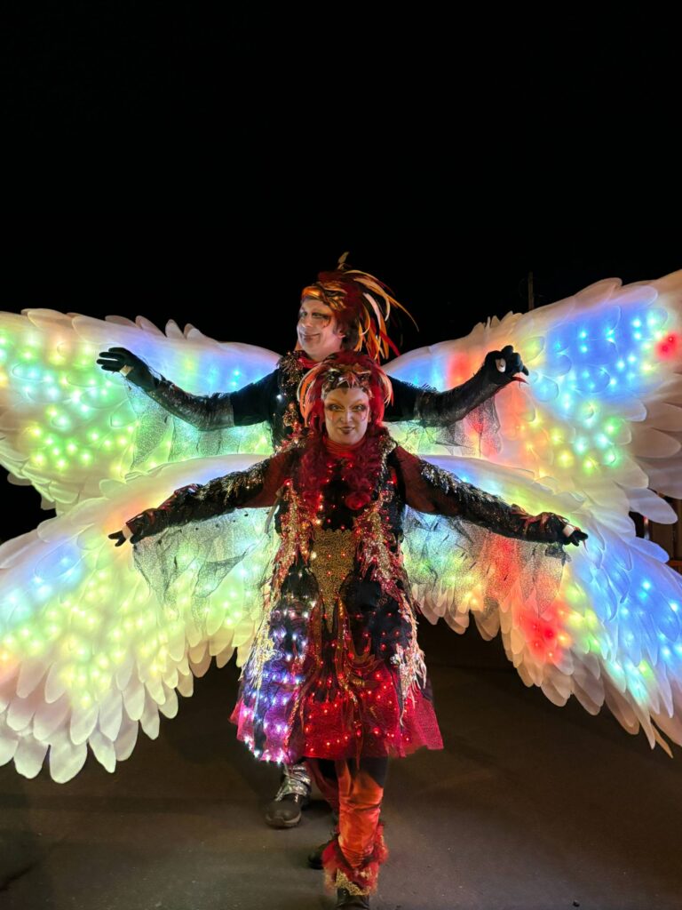 Deux soirées de magie lumineuse en pleine rue