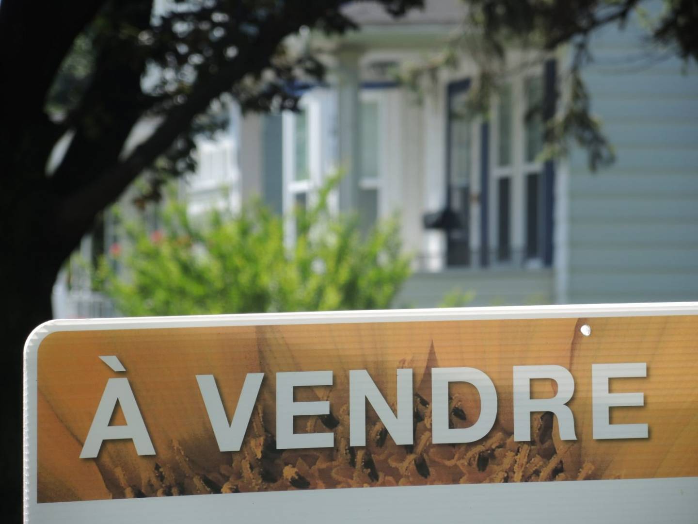 Hausse des ventes de propriétés résidentielles