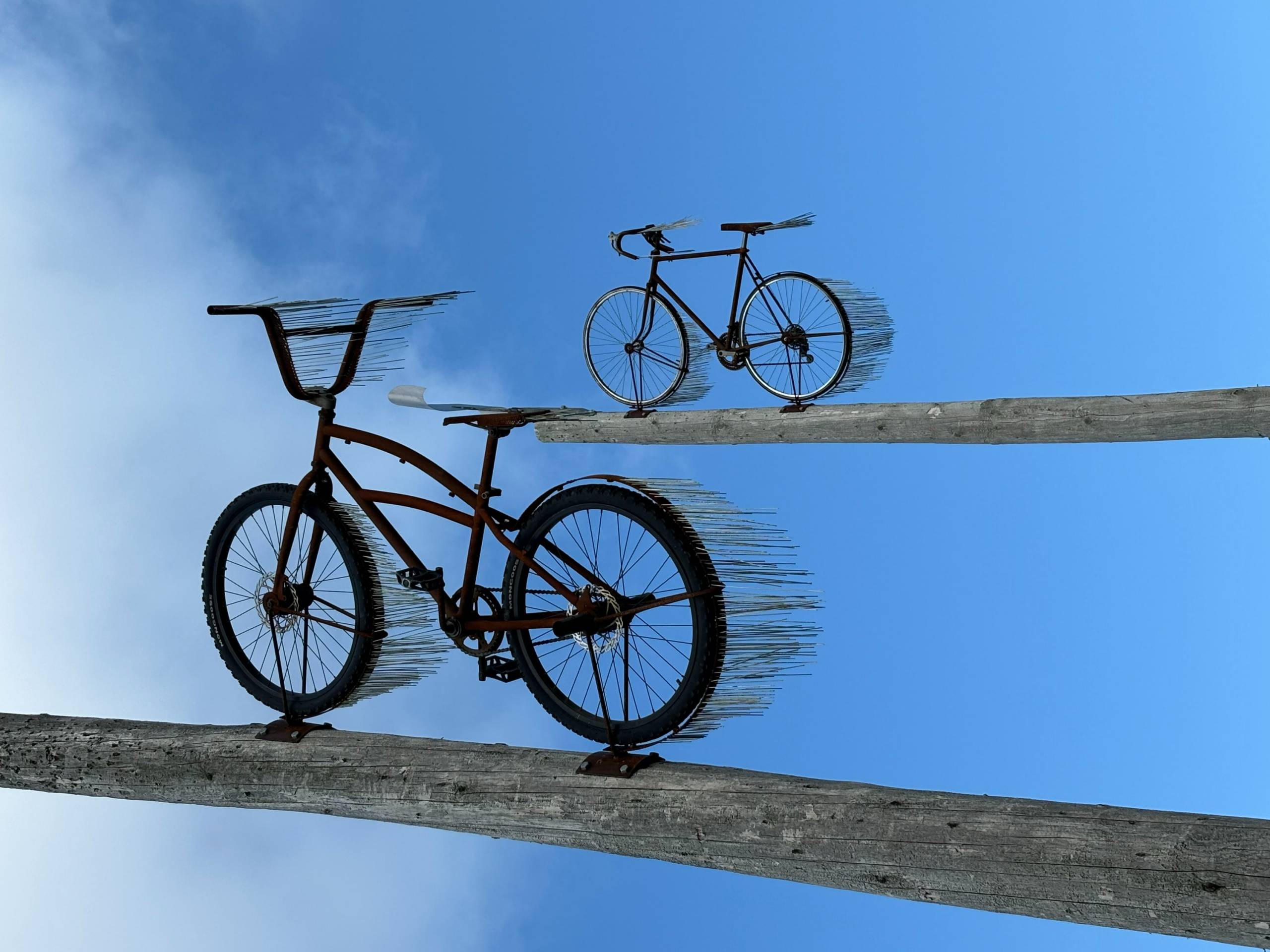 Des vélos qui font rayonner le travail des jeunes