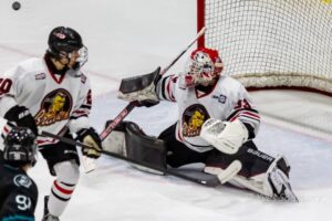 Braves et Panthères : ça commence vendredi