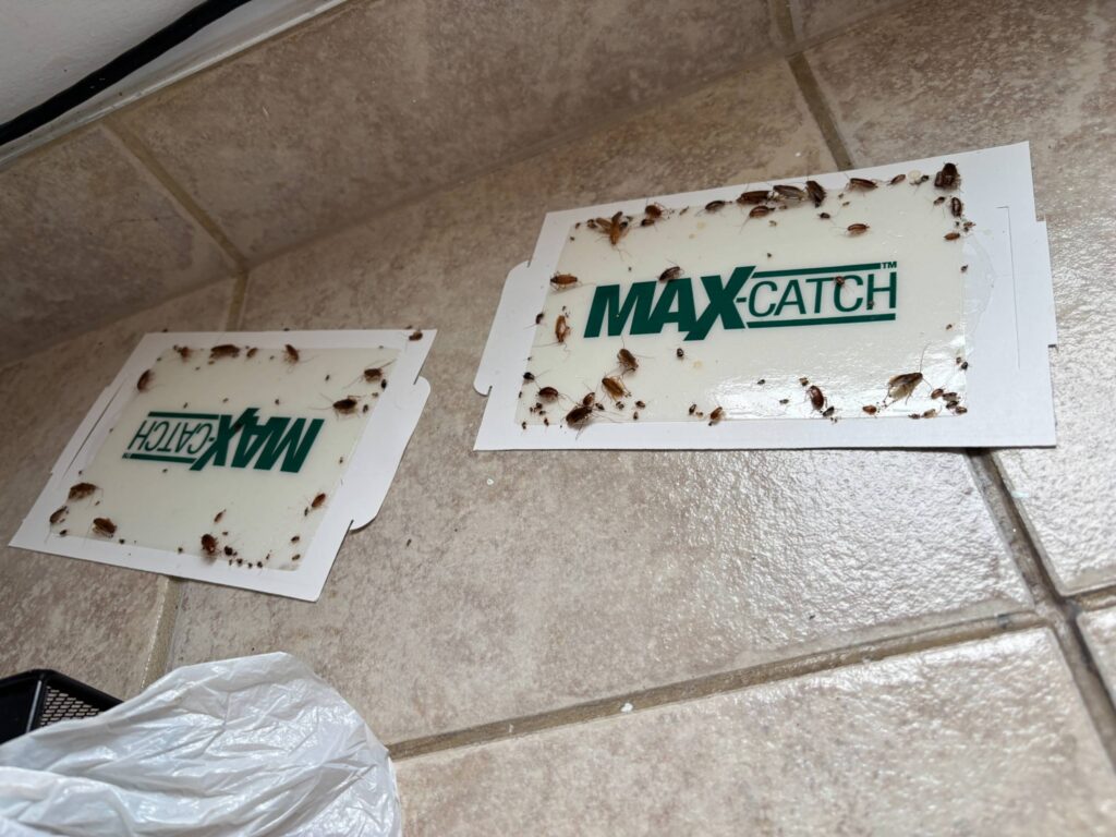 Vivre dans des conditions insalubres au 140 Primeau à Châteauguay