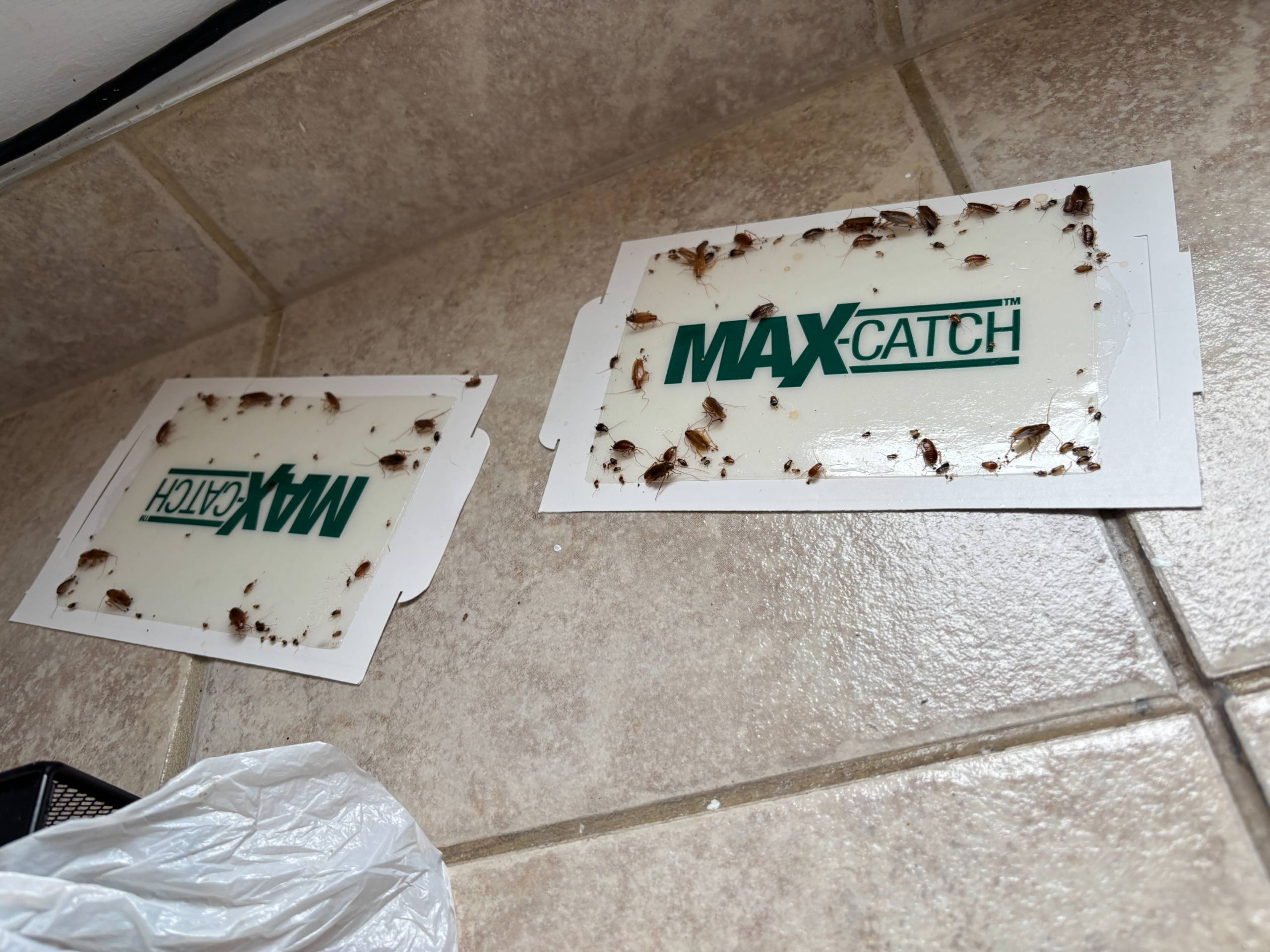 Vivre dans des conditions insalubres au 140 Primeau à Châteauguay