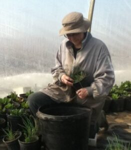 Activité de ferme maraîchère à Saint-Polycarpe