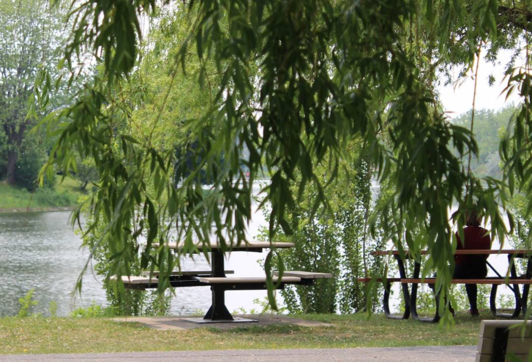 Beauharnois-Salaberry: la MRC aura son plan climat