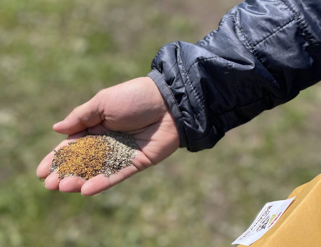 Jour de la Terre : Salaberry-de-Valleyfield ensemence la protection de l&rsquo;environnement