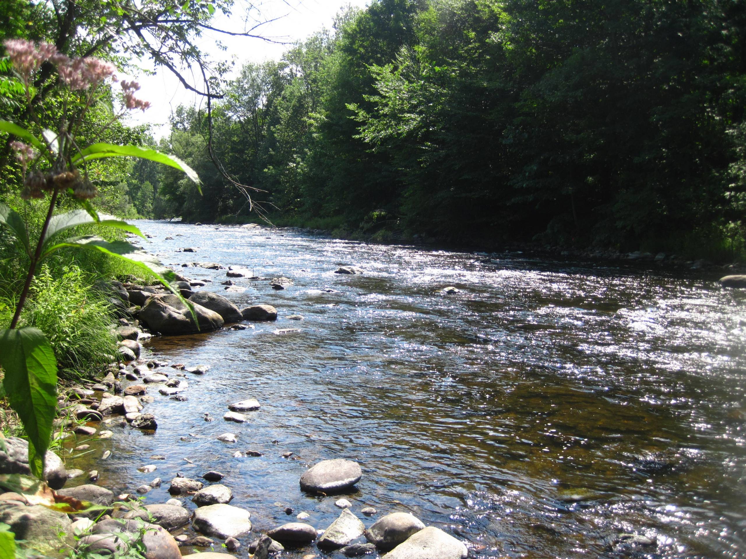 Carte interactive sur l’écotourisme