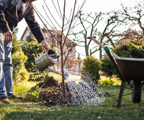 Nouveau Programme d’embellissement urbain dans Valleyfield