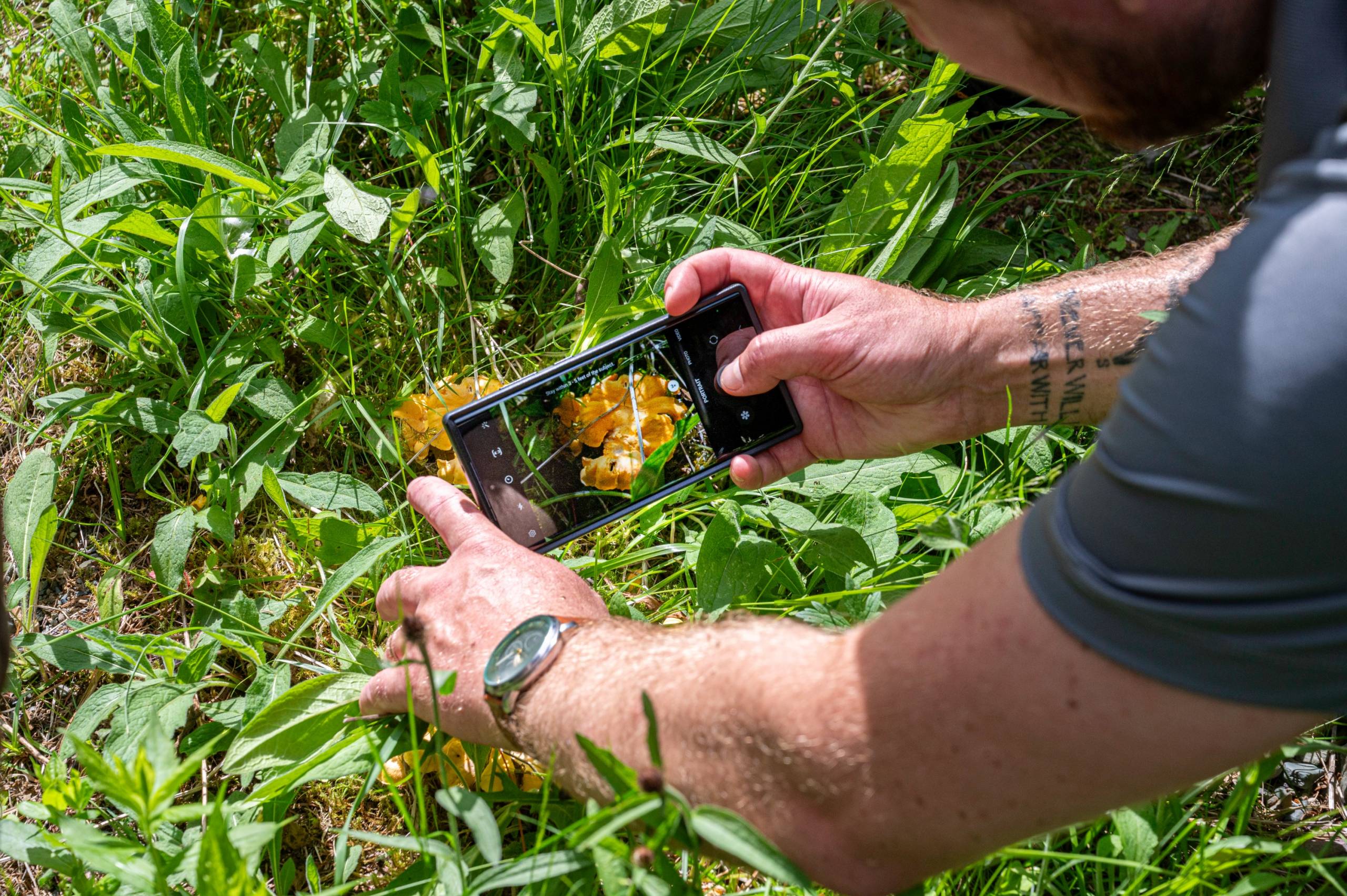Un 5e Grand BioBlitz annuel pour Conservation de la nature Canada