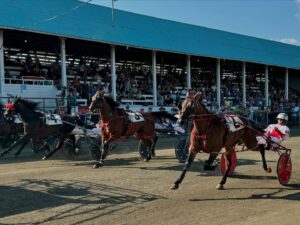 Courses sous harnais : une participation record attendue à Ormstown