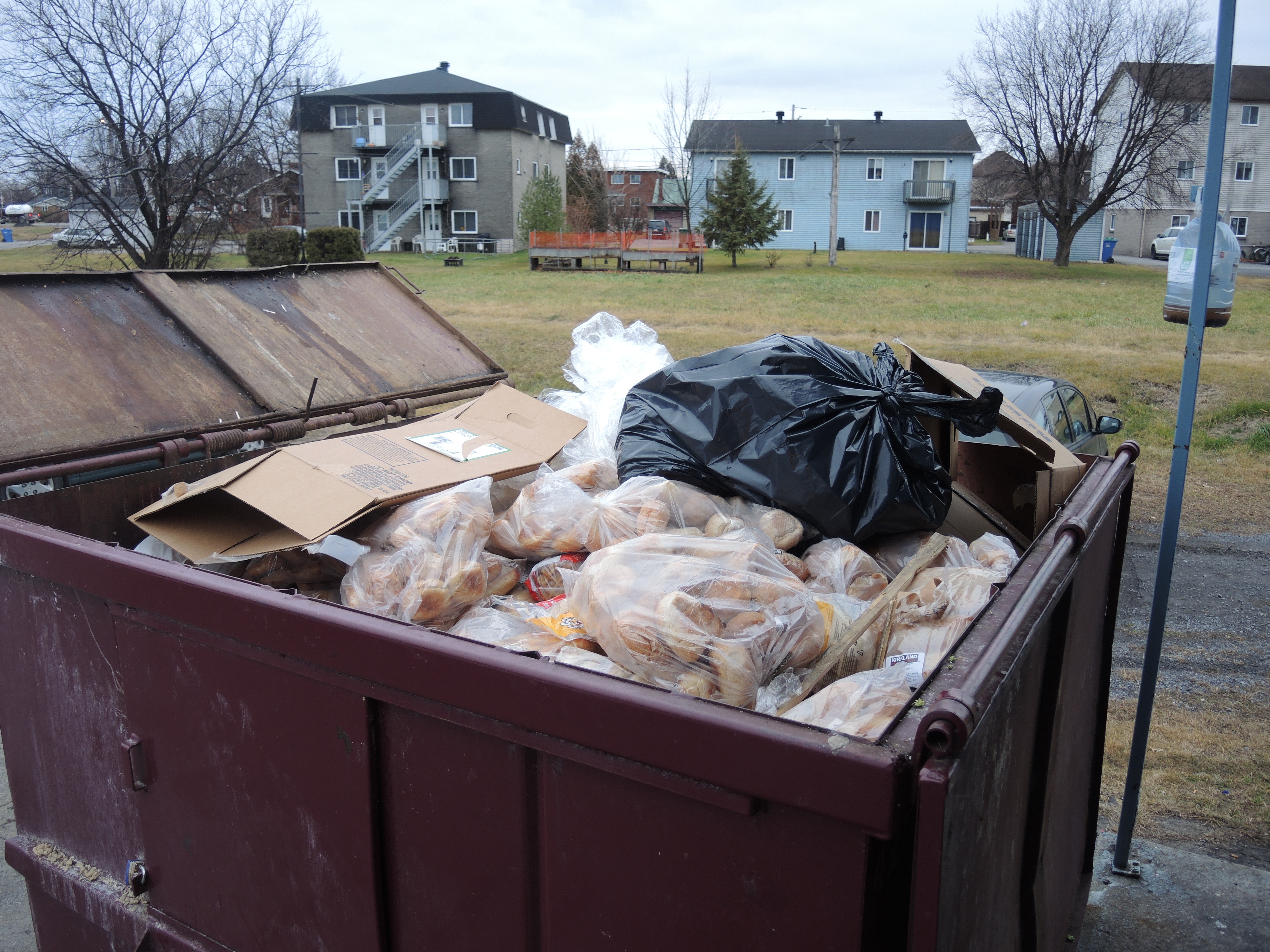 Image illustrant l'article: Des conteneurs à déchets bondés de pains