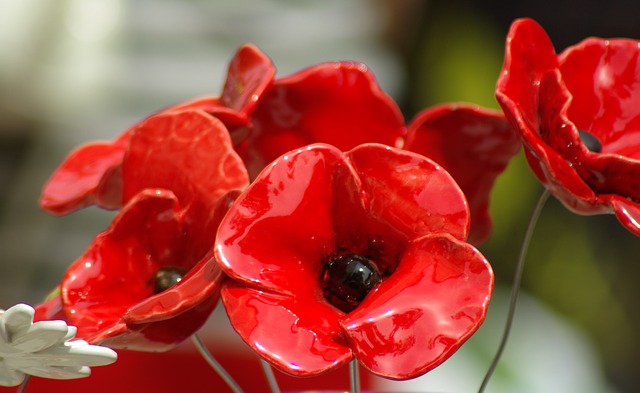 La Légion de Valleyfield remet des bourses à 6 étudiants