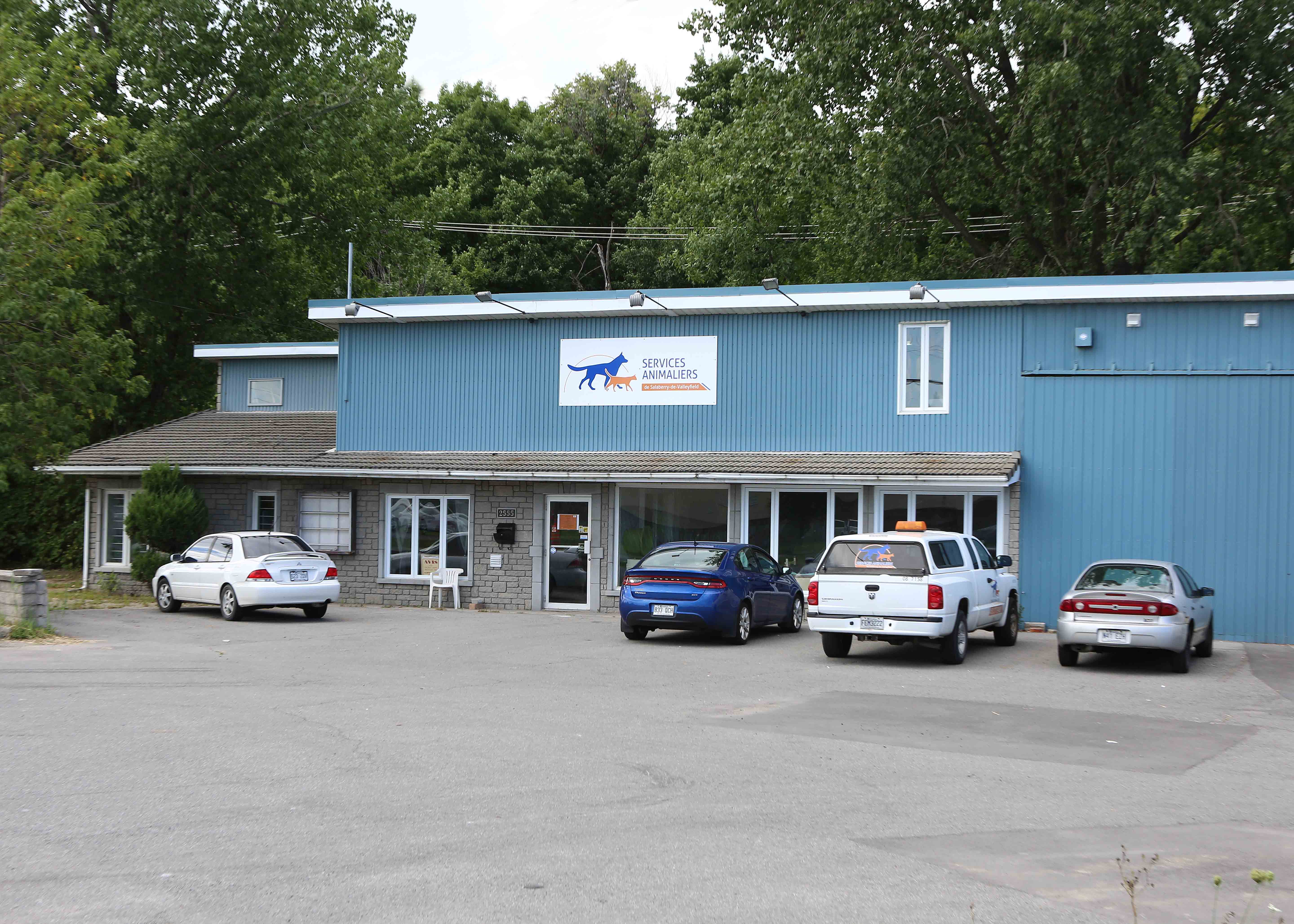 Un employé du Service animalier congédié pour avoir égaré des chatons