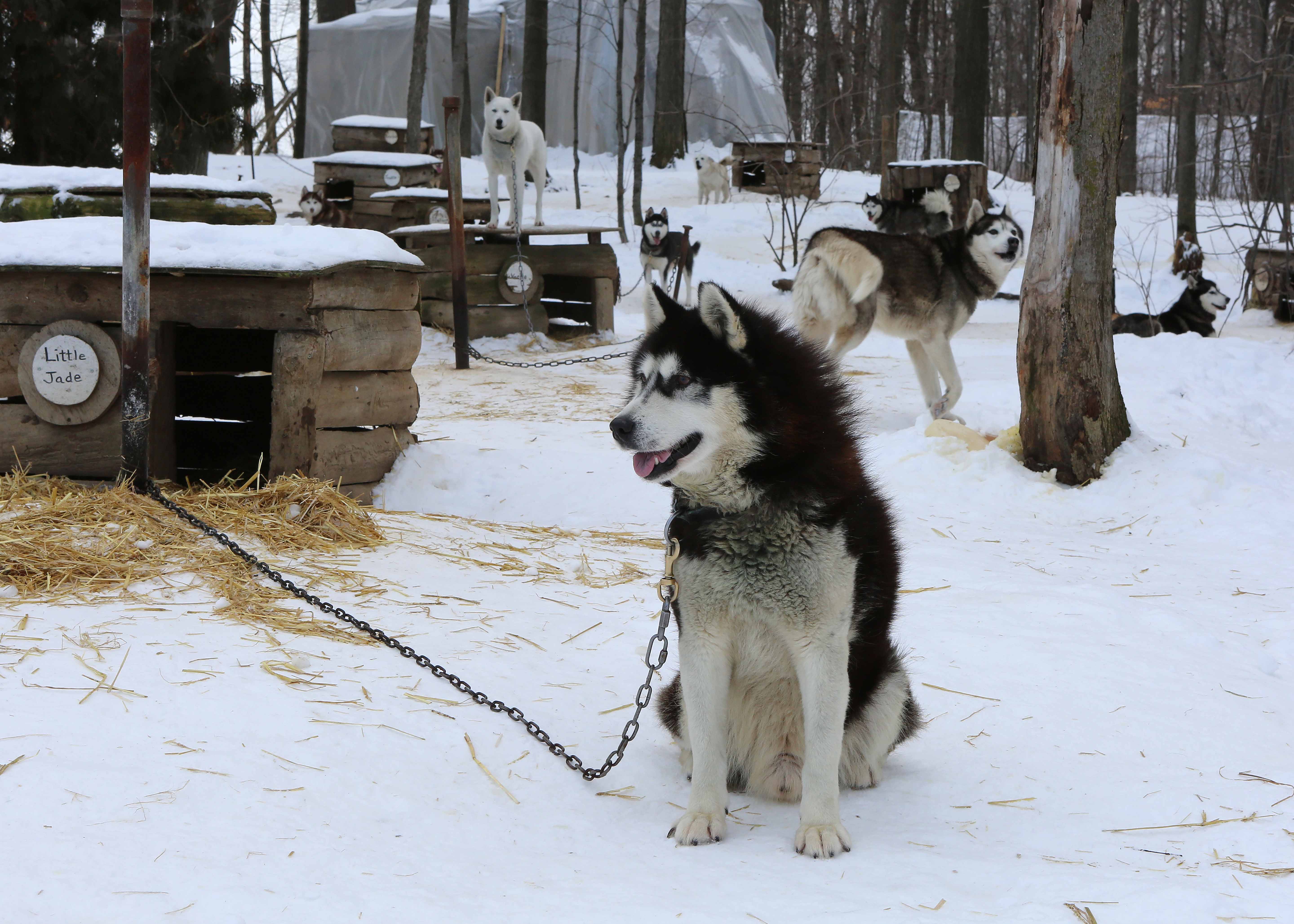 Vos essentielles du matin – Édition du 11 janvier