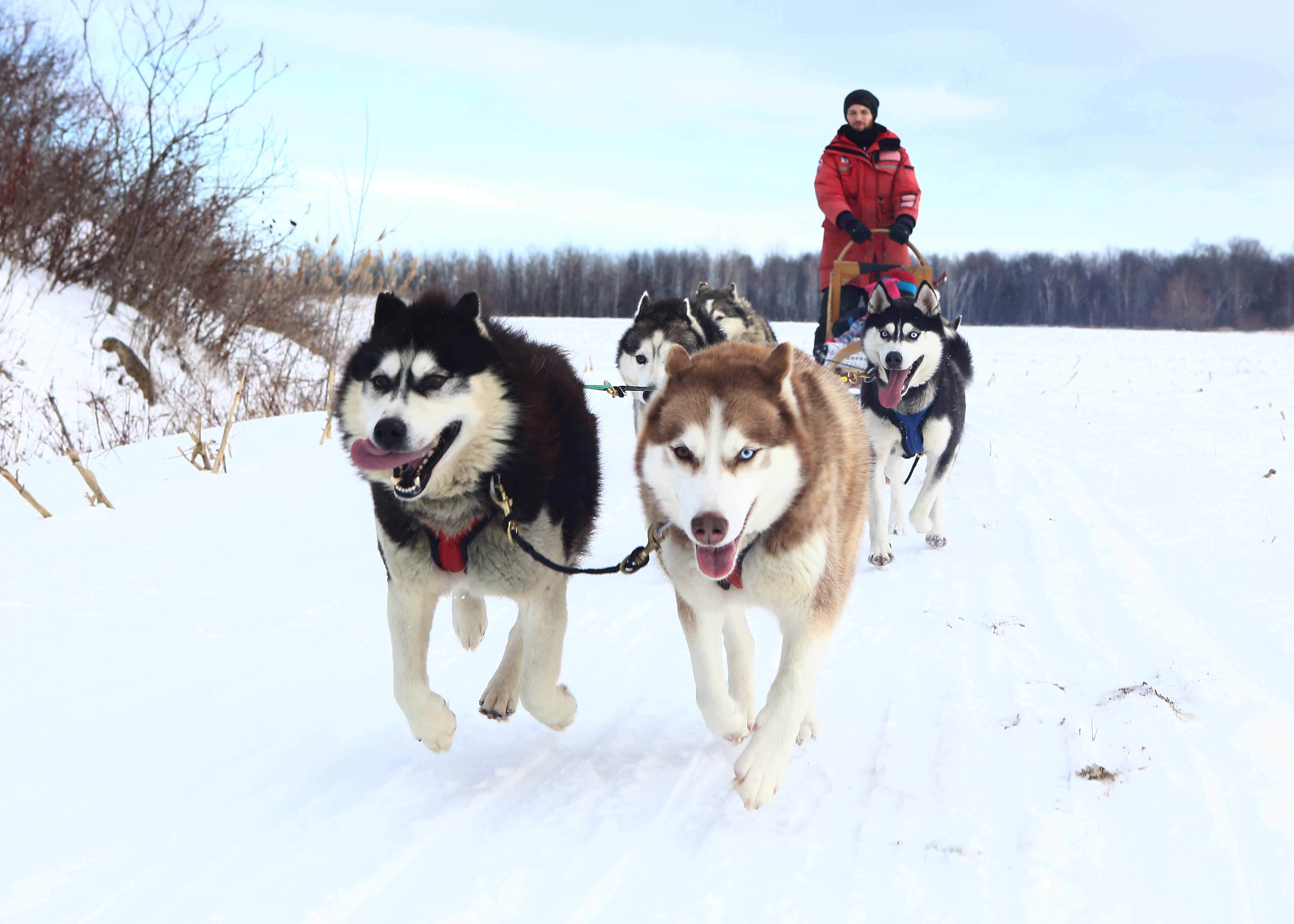 Vos essentielles du matin – Édition du 7 janvier