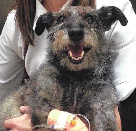 Image illustrant l'article: Le bourreau de Théo pourrait se retrouver derrière les barreaux