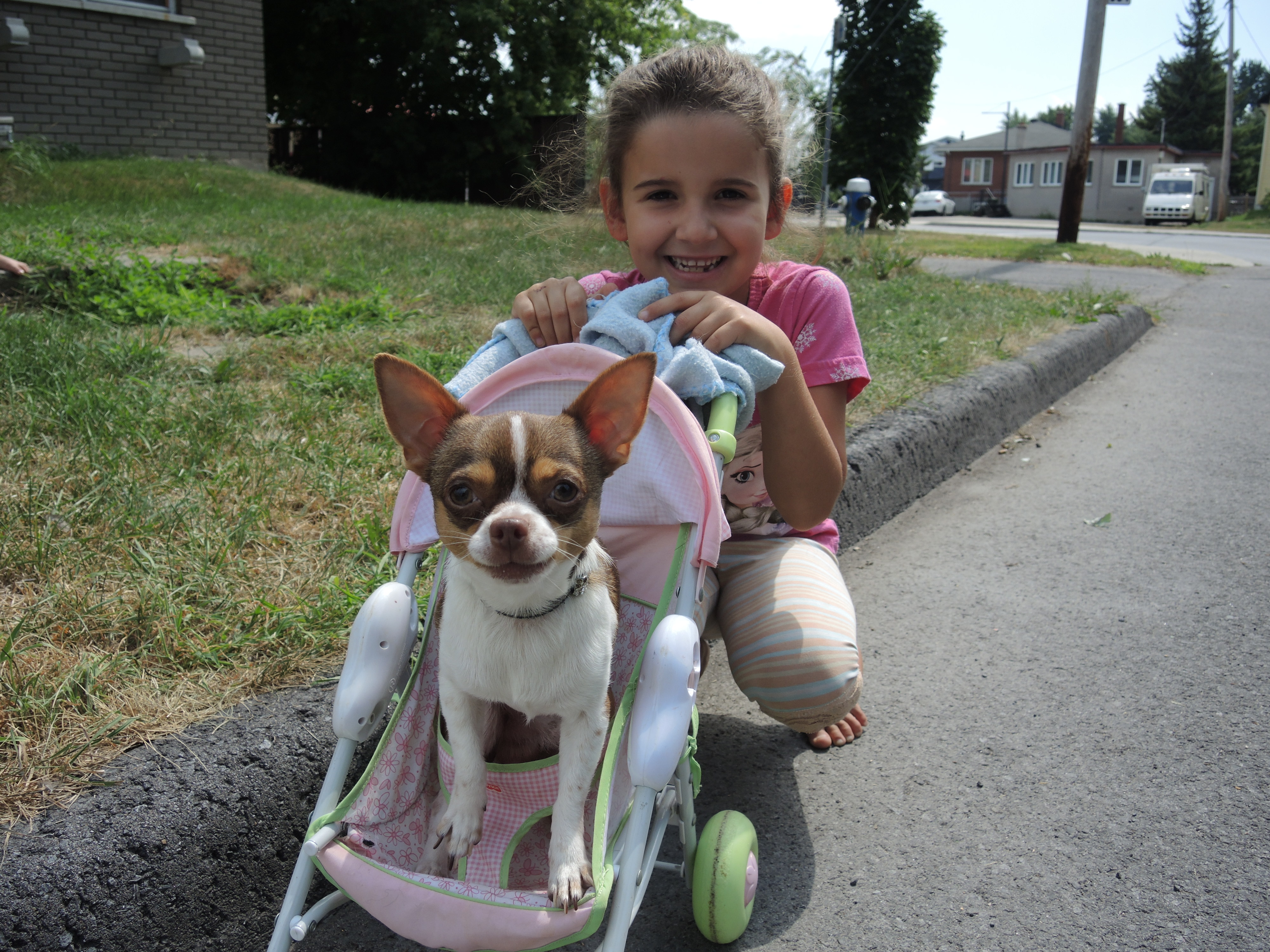 Une fillette retrouve son chien grâce à Facebook