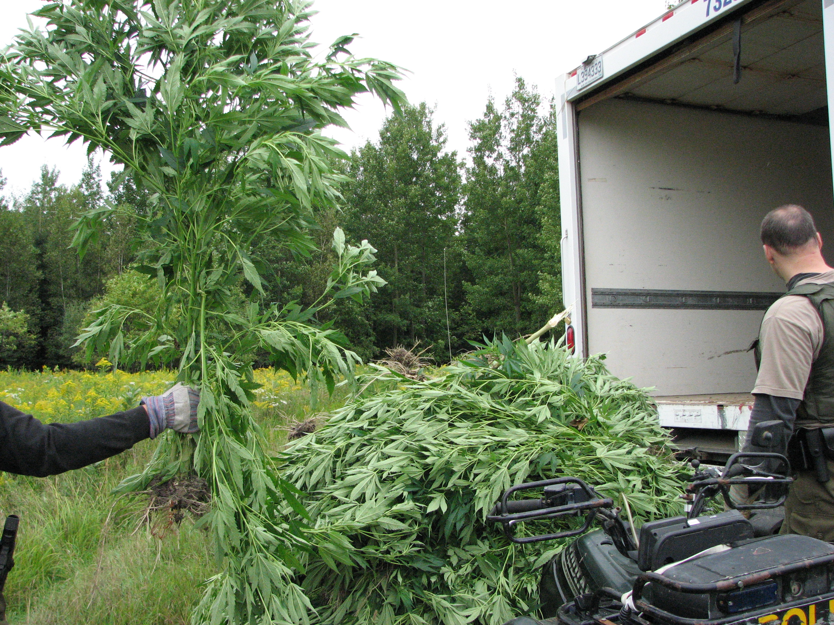 Image illustrant l'article: Perquisition en cours à Saint-Chrysostome