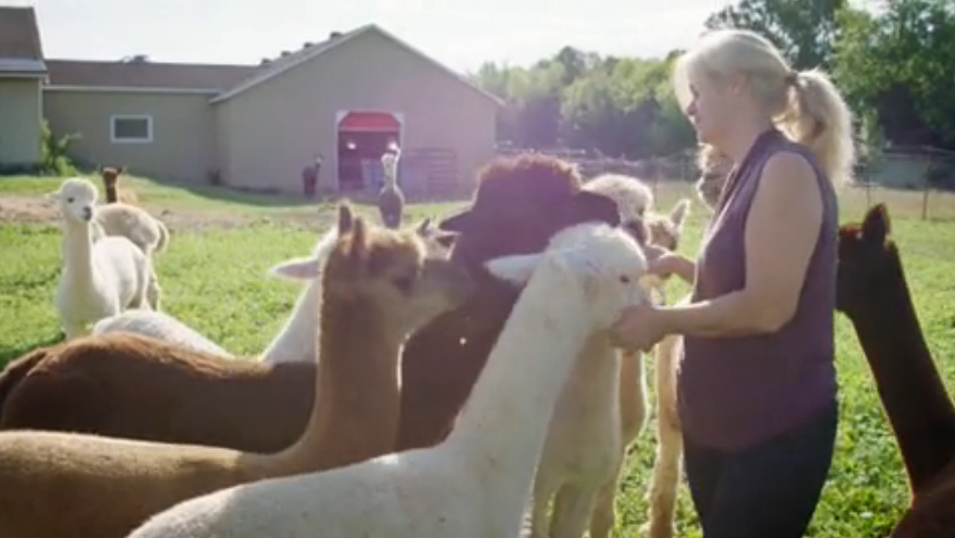 Saint-Chrysostome d’un océan à l’autre