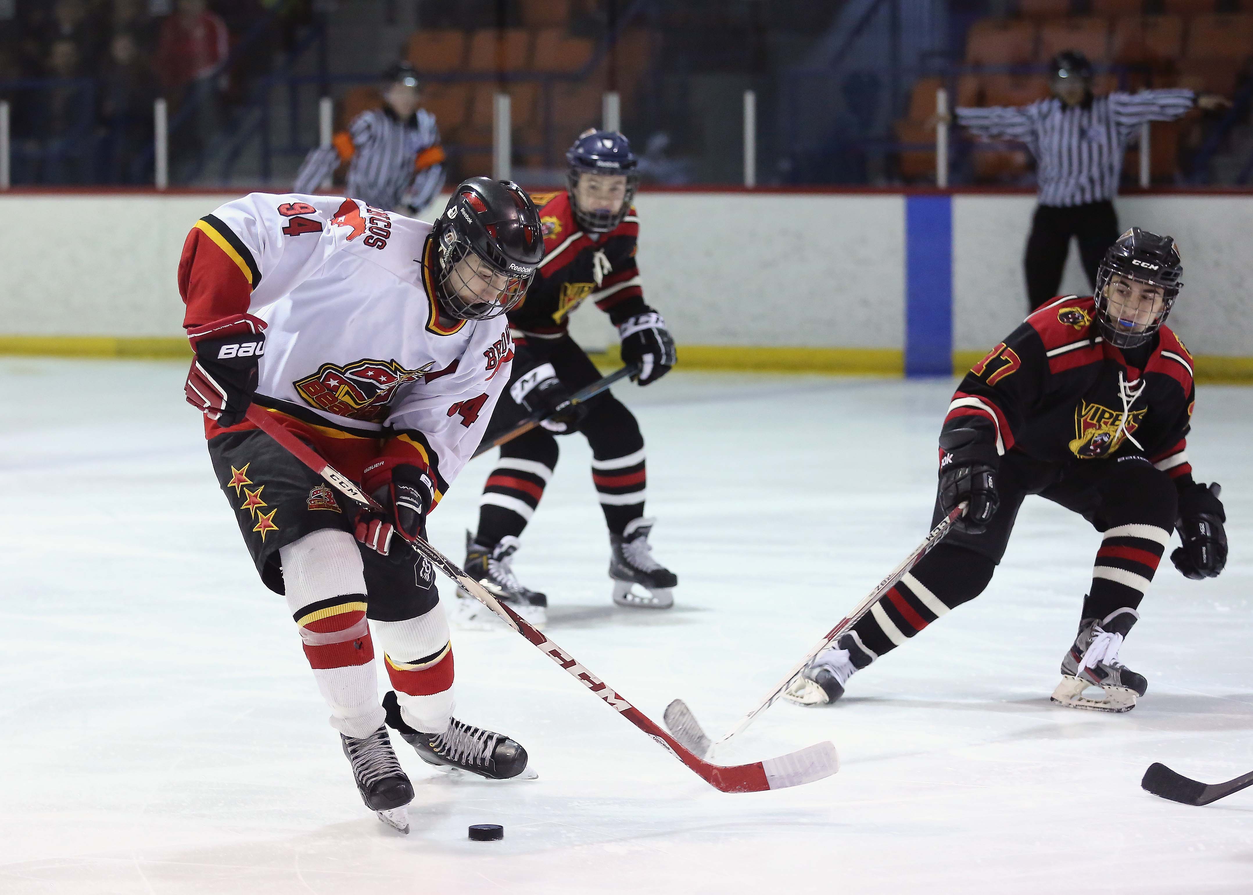 Image illustrant l'article: Les Étoiles de Beauval bantam AA se sont bien battus