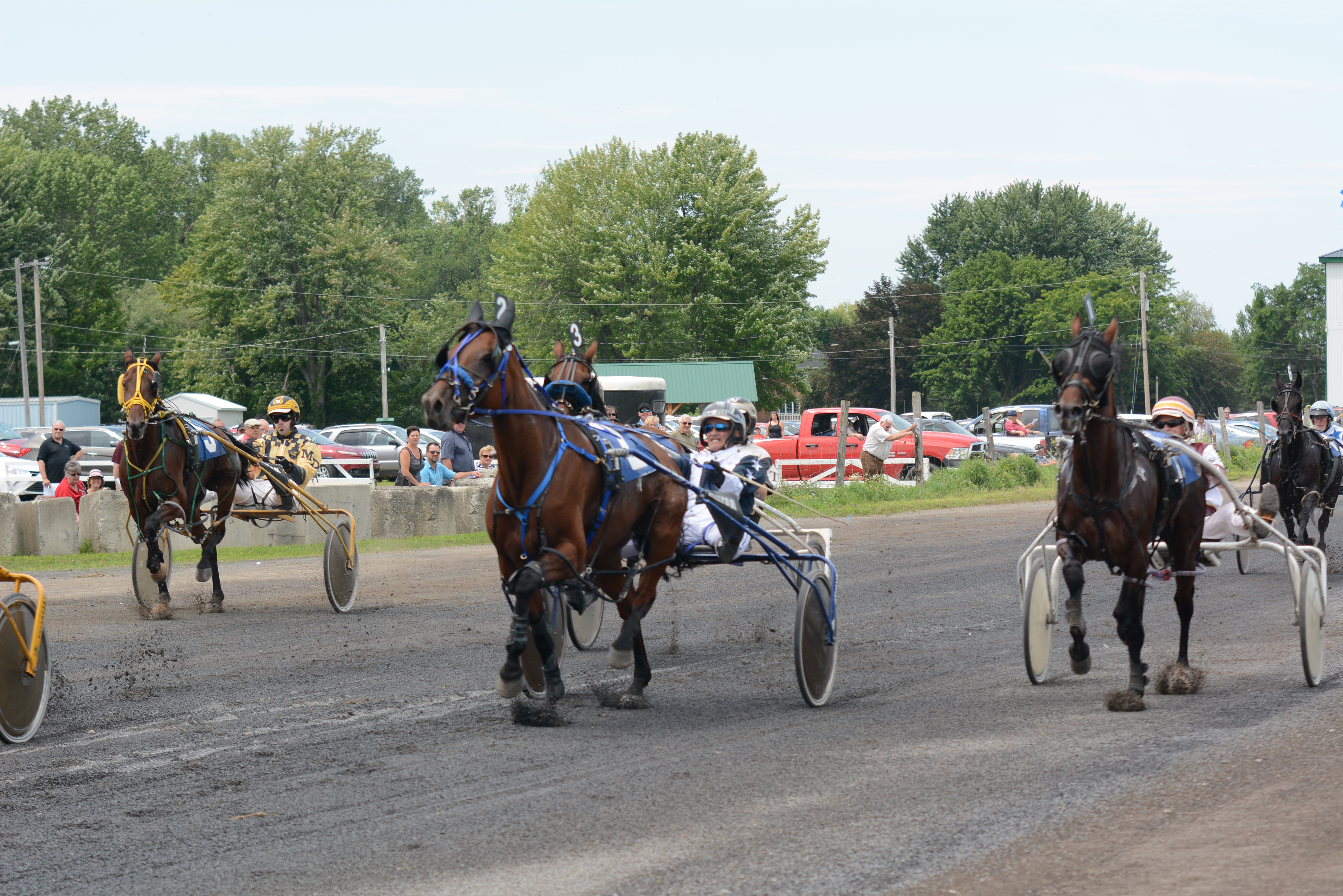A thoroughbred from the region takes the Prix du Suroît