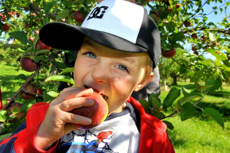 Image illustrant l'article: A deliciously beautiful region