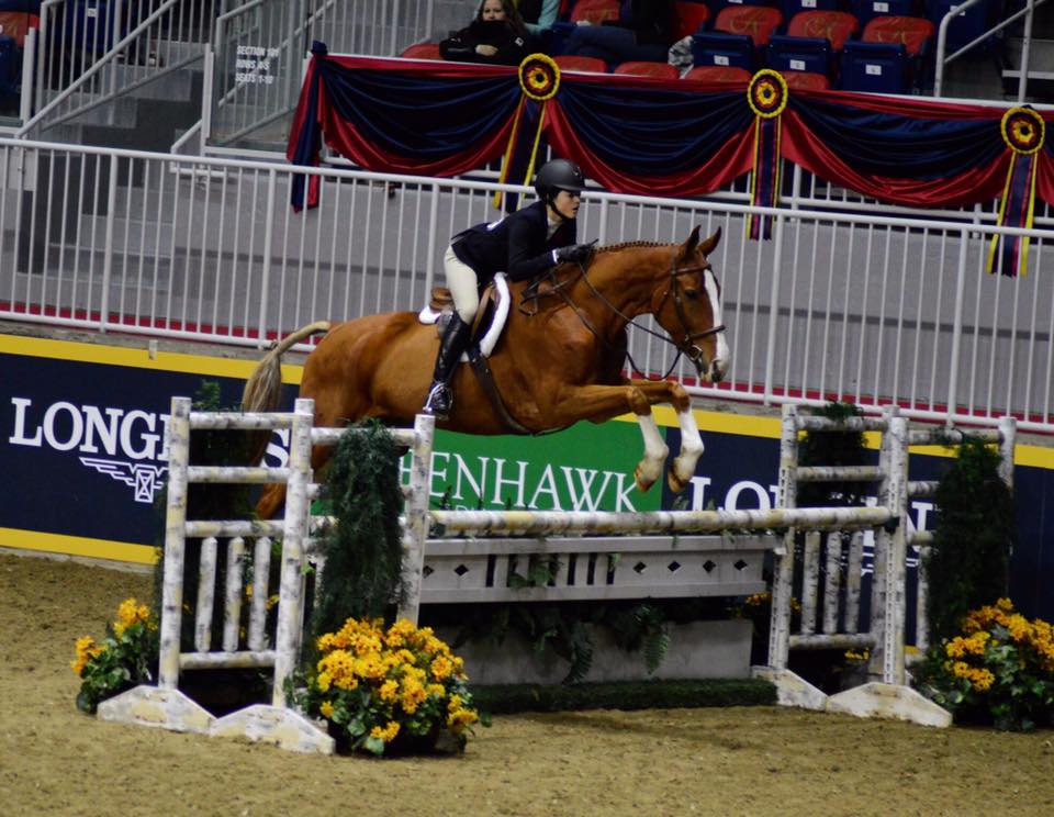 Hemmingford Native Home from Second Invite to the Royal Agricultural Winter Fair