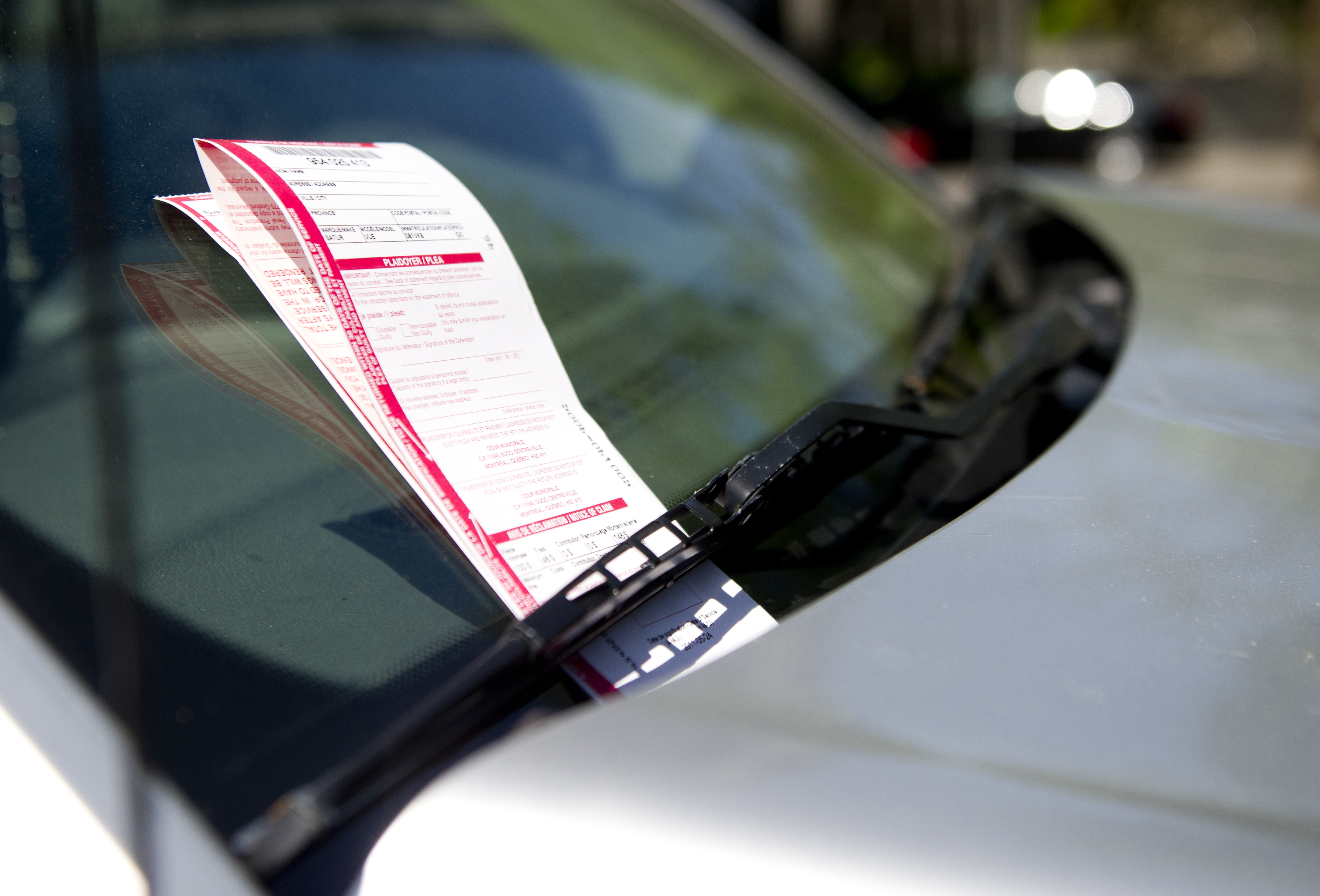 Recent Scam Involves Fake Parking Tickets