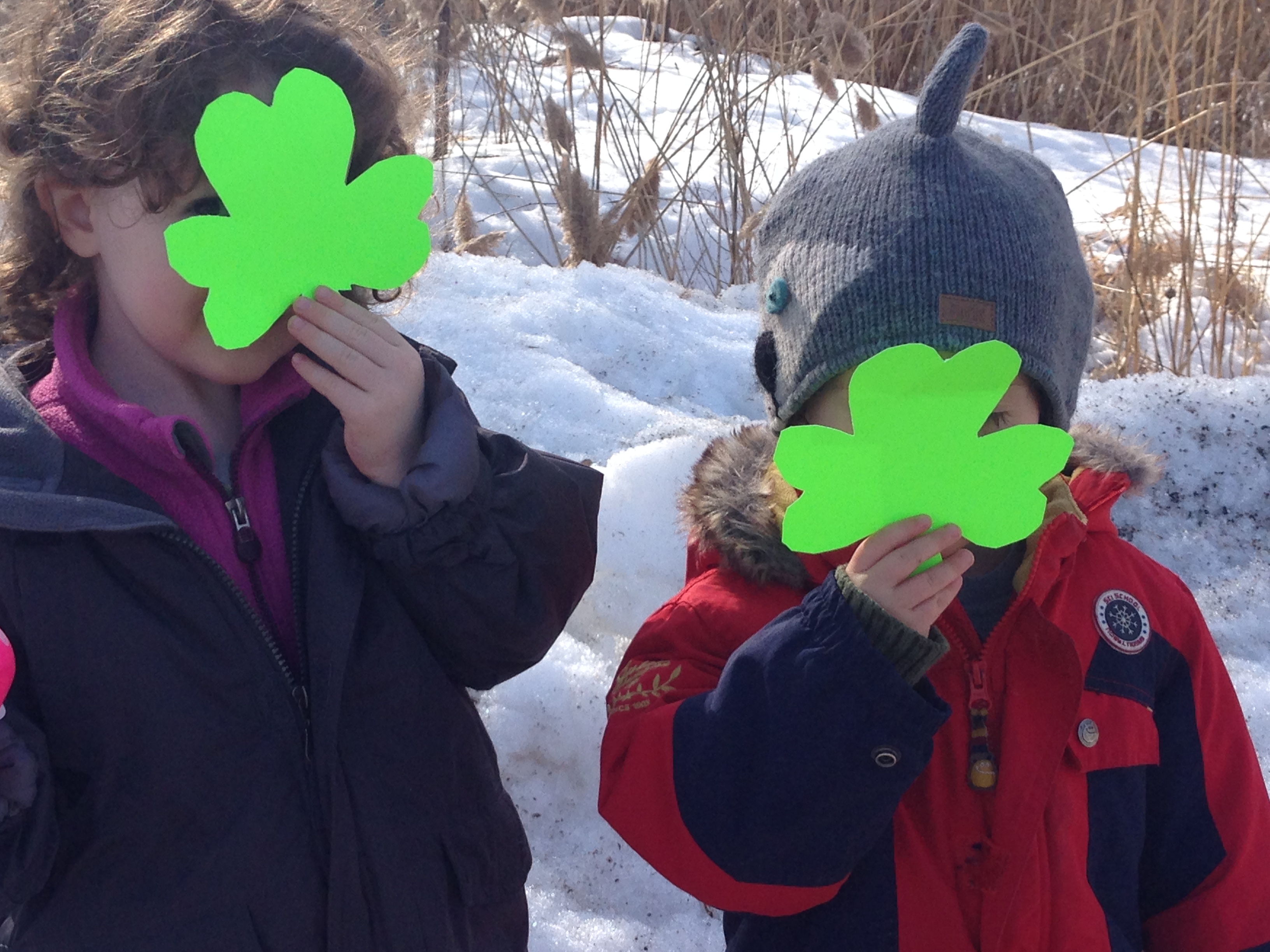 Why Green Glitter is my new Green Beer