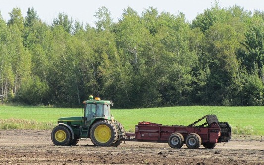 Image illustrant l'article: A grudge against sludge