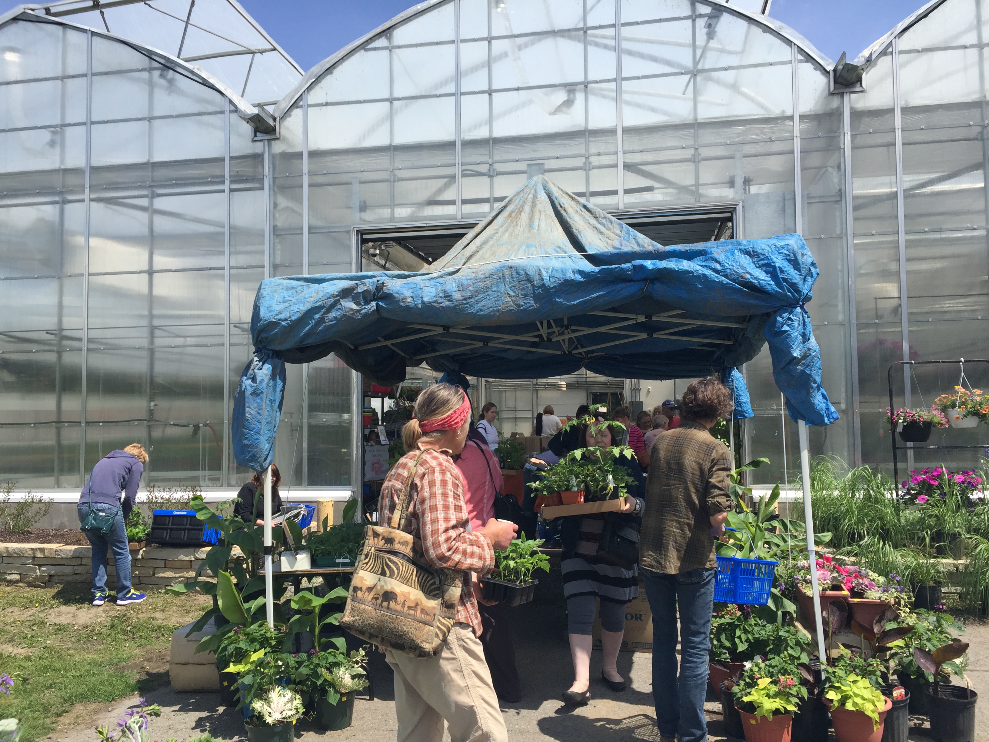 Image illustrant l'article: Getting Ready to Garden