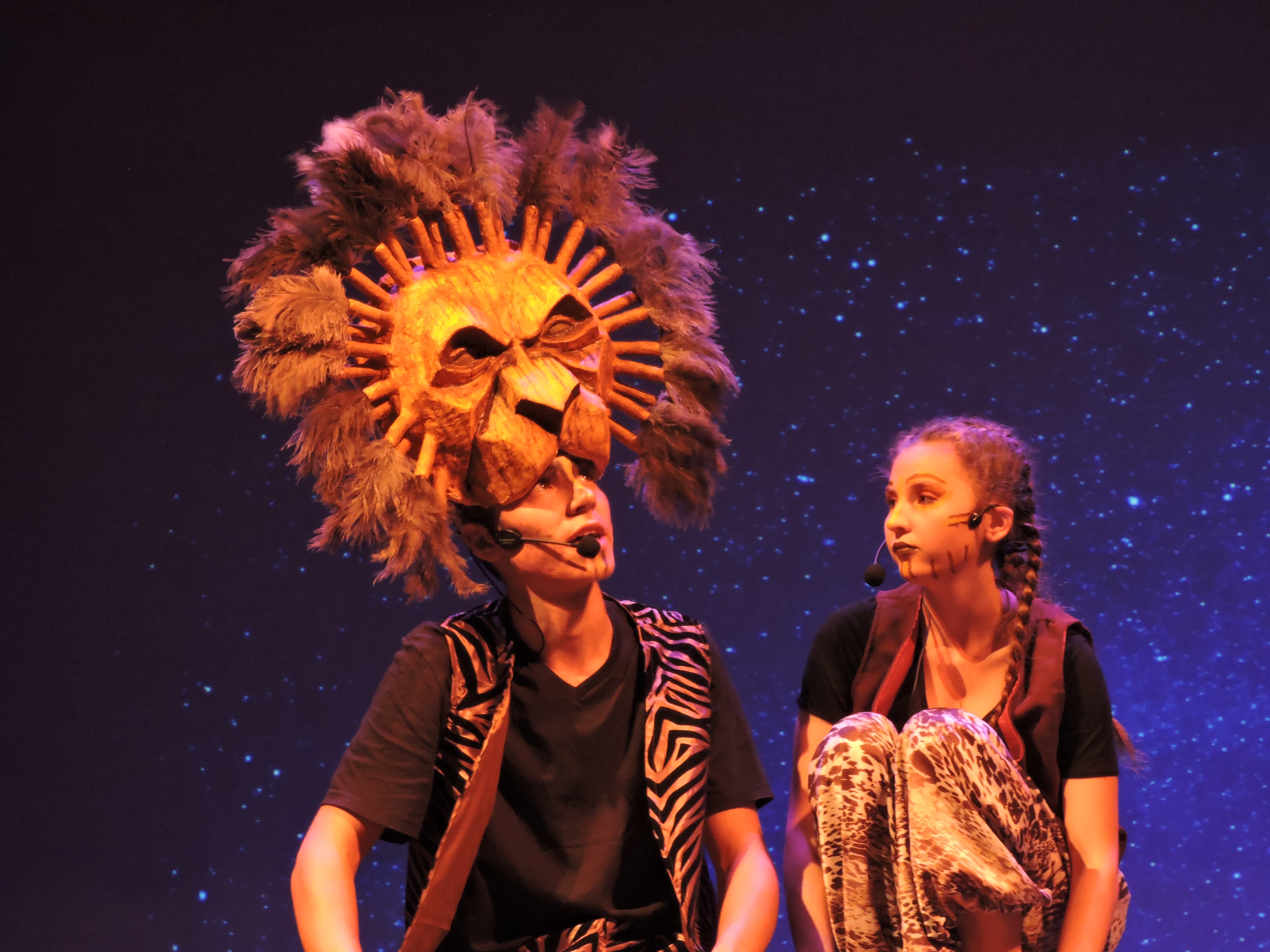 Image illustrant l'article: CVR to Present The Lion King