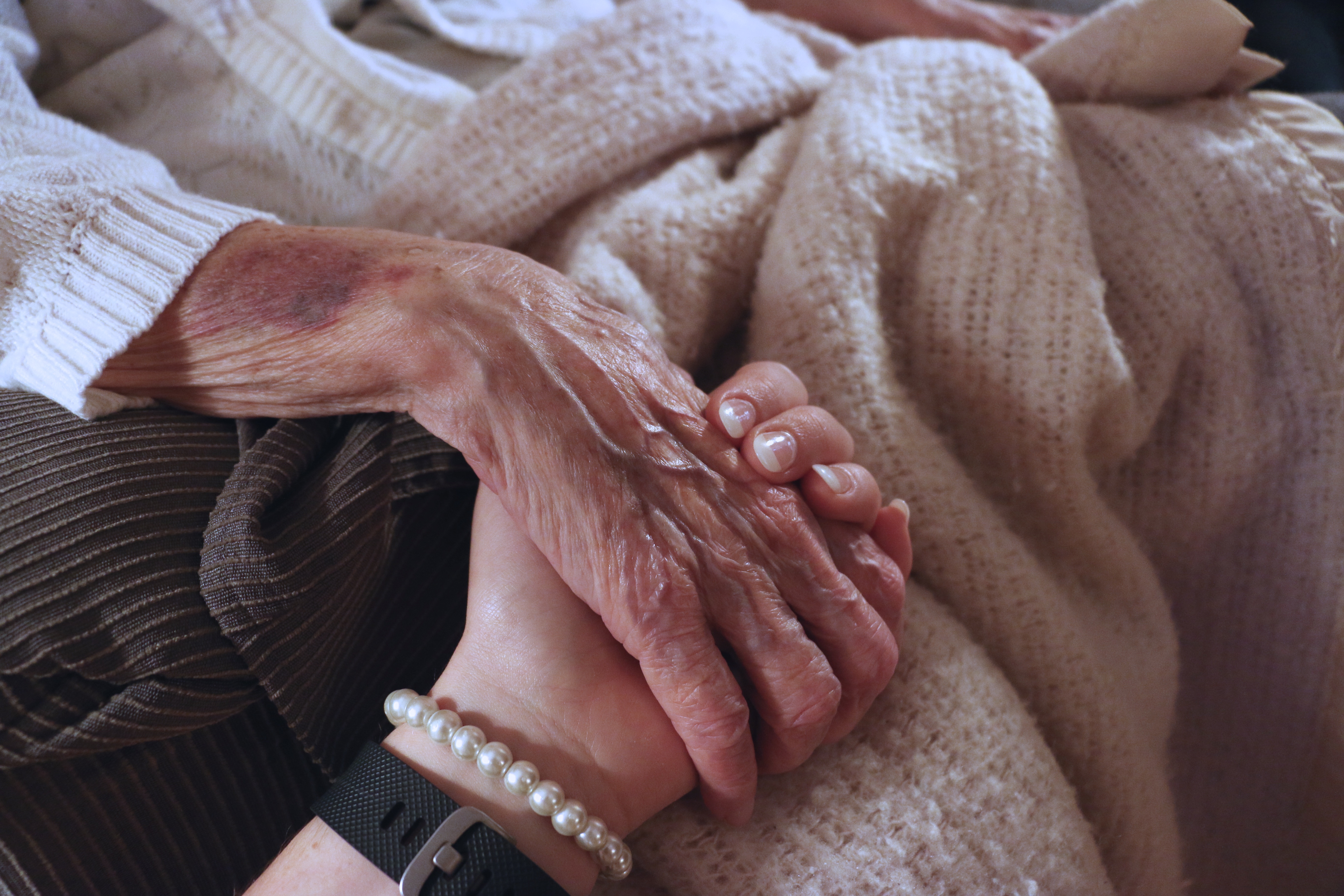 Technological Workshops for Seniors